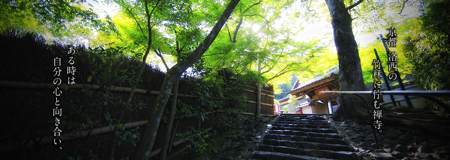 秋は京都。絶対行ってほしい鈴虫寺