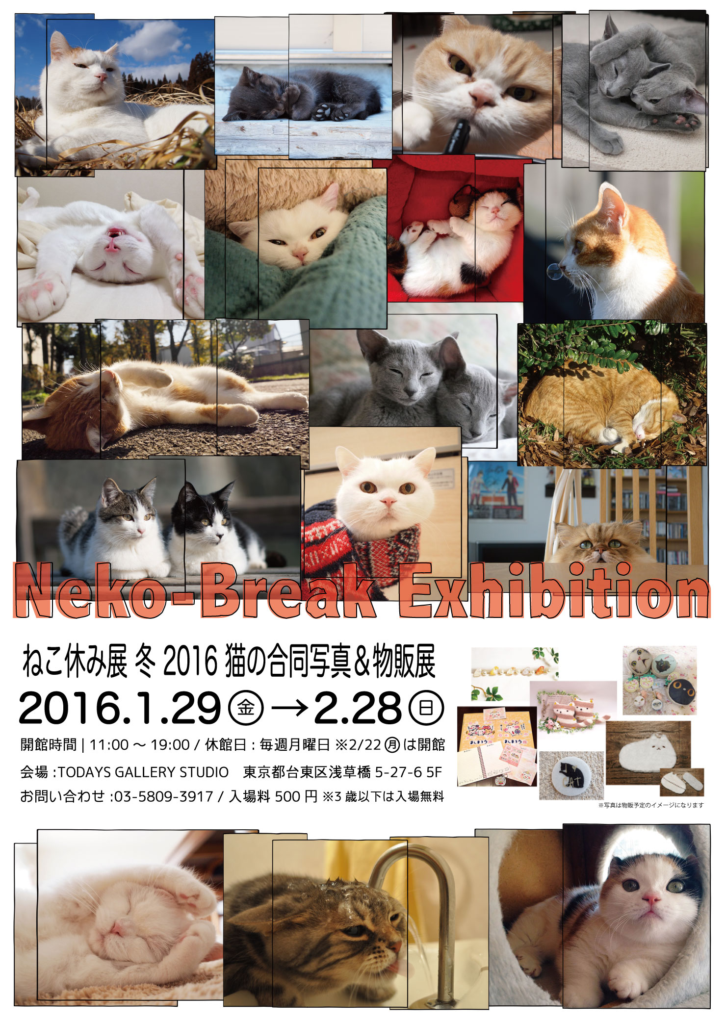 猫の合同写真＆物販展「ねこ休み展 冬 2016」