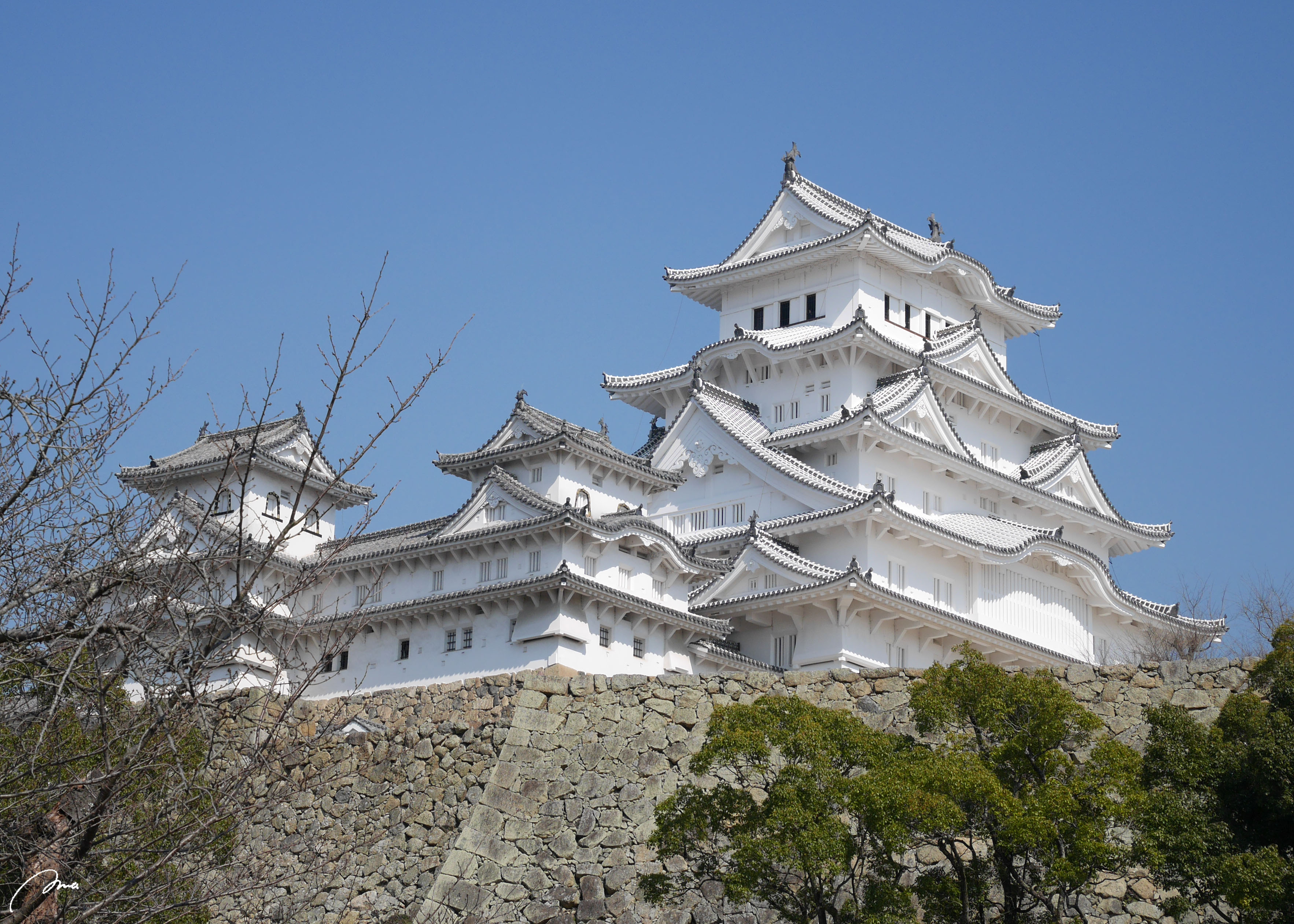 春の旅行に♡桜の名所、姫路城を訪れてみませんか？